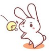 兔子 卖萌 可爱 萌萌哒