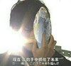 咸鱼 恶搞 我现在手中抓住了未来 咸鱼翻身