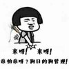 蘑菇头 拍桌 叫唤 来呀来呀谁怕谁呀狗日的狗管理