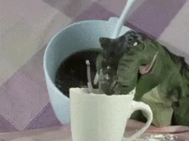 鳄鱼 被子 咖啡 勺子