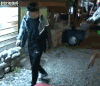 害怕 吃惊 惊讶 可怕