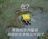 搞笑 魔性 大杂烩 逗 蠢萌
