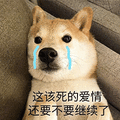狗狗 可爱 萌宠 流泪 伤心