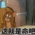 猫和老鼠 猫和老鼠表情包 汤姆 杰瑞 汤姆猫 杰瑞鼠