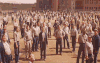 肖申克的救赎 看 集体 监狱 The Shawshank Redemption