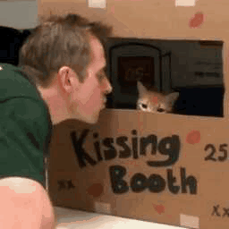 猫咪 亲吻 侧脸  纸壳箱
