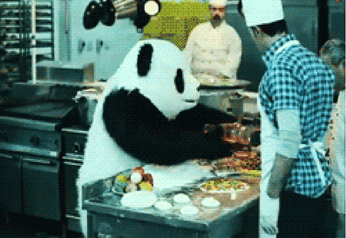 熊猫 厨房 惊呆 厨师