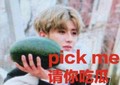 Pick me 请你吃瓜 西瓜 蔡徐坤 偶像练习生