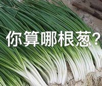 葱 你算哪根葱 疑问 蔬菜