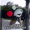 熊本熊 玻璃门 观看 别以为隔着玻璃我就不知道你是个傻逼