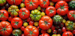切开 番茄 美食 视觉享受