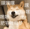 萌宠 汪星人 嘿嘿嘿 做梦 呆萌 可爱