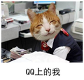 猫咪 微笑 可爱 QQ上的我