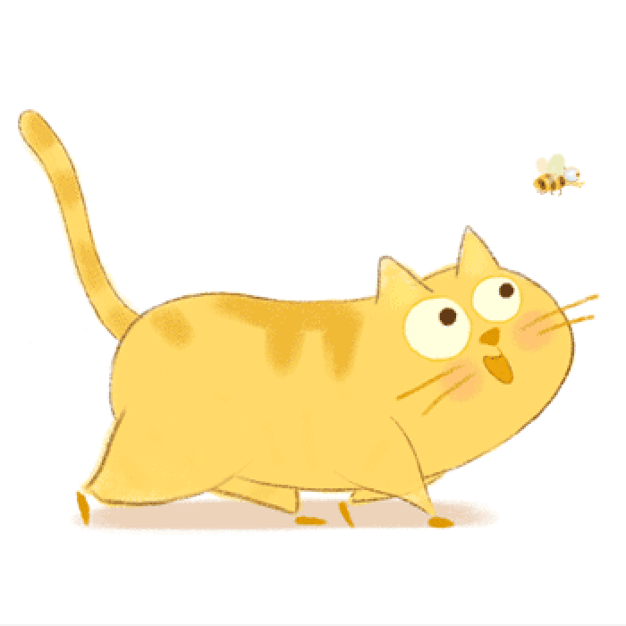 猫咪 蜜蜂 追逐 可爱