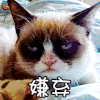 萌宠 猫 喵星人 嫌弃 soogif soogif出品