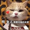 萌宠 猫星人 女人都是可爱的天使 呵呵 呆萌 可爱