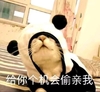 萌宠 猫星人 给你个机会偷亲我 期待 呆萌 可爱
