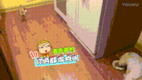 萌宠 动物 可爱 搞怪