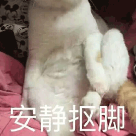 专心抠脚图片_专心抠脚动态图_专心抠脚表情包gif动图下载_soogif