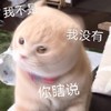 萌宠 喵星人 你瞎说 我没有 搞怪 逗