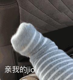 jio冷猫咪白毛伸脚坐着gif动图_动态图_表情包下载_soogif