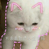 猫咪 不亲亲你的小宝贝吗 可爱 轮廓