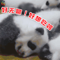 萌宠 熊猫 国宝 吃鸡 好无聊 soogif soogif出品