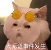 萌宠 猫星人 大无语事件发生 无奈 搞怪 呆萌
