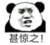 熊猫头 暴漫 甚惊之 搞笑 逗趣 魔性