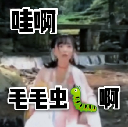 小豆蔻儿 可爱 小姐姐 网红 文字表情包