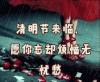 清明节