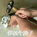 猫 凶 锤子