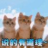赞 good 猫 猫咪 说的有道理 萌宠 棒