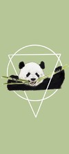 熊猫壁纸 熊猫