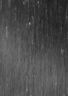 下雨 阴天 夜晚 黑色 春雨绵绵 春雨绵绵 下雨了