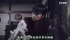 尾黑 壁虎 搞笑 面无表情