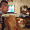 狗狗 家庭 有爱 亲亲