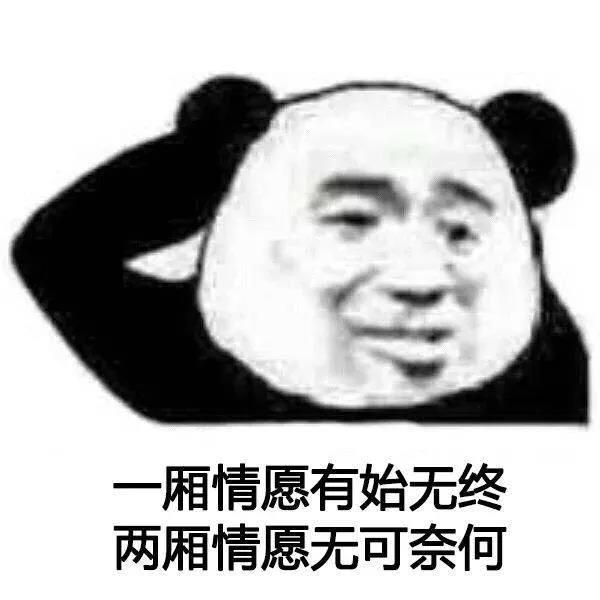 暴漫 熊猫头 一厢情愿有始无终 两厢情愿无可奈何 搞怪 逗
