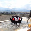 世界杯 土味情话 熊本熊