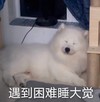 萌宠 汪星人 遇到困难睡大觉 困了 搞怪 逗