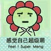 卖萌 搞笑 向日葵 斗图