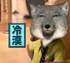疯狂动物城 Zootopia 狼人 冷漠