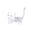 猫 插图 水彩画