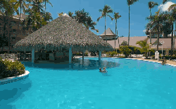 多米尼加共和国 度假 棚子 游泳池 纪录片 蓬塔卡纳 风景