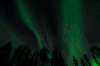 北极光 northern lights nature 沙漠 自然 美景 变幻 奇观