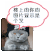 猫咪 手指 楼上 卡通
