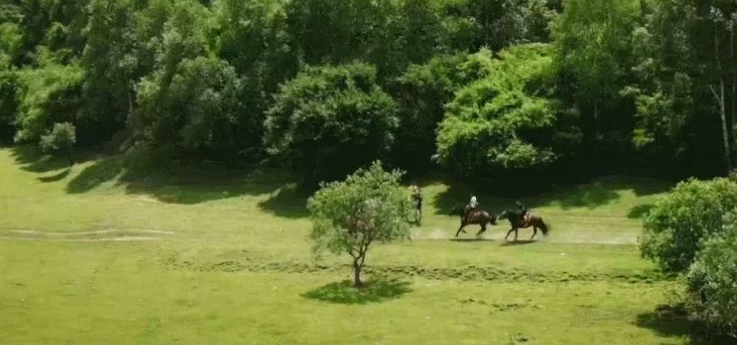 关山草原 宝鸡市 树 纪录片 航拍中国 草 赛马 陕西 骑马