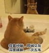 寂寞 斗图 猥琐 滑稽