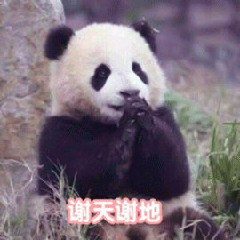 萌宠 熊猫 大熊猫 谢天谢地 搞怪