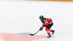 庆典 女人 冰球 国际冰联 加拿大队 四国家杯 加拿大女子冰球